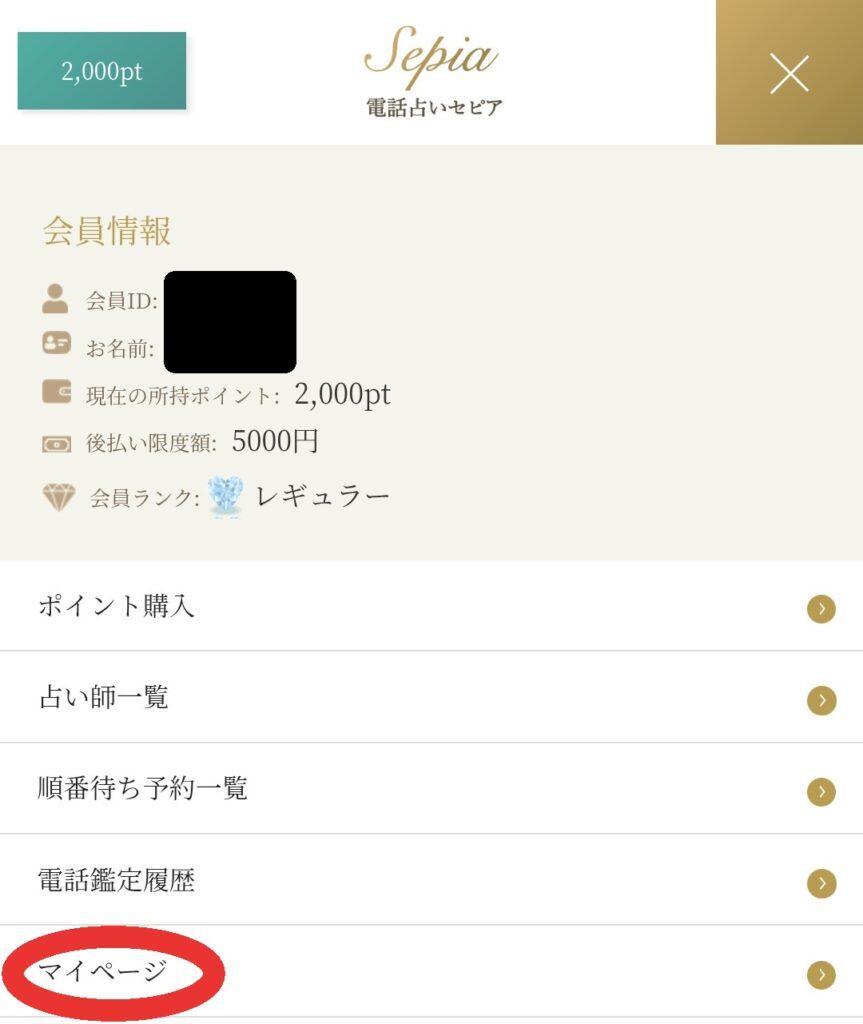 電話占いセピア退会1