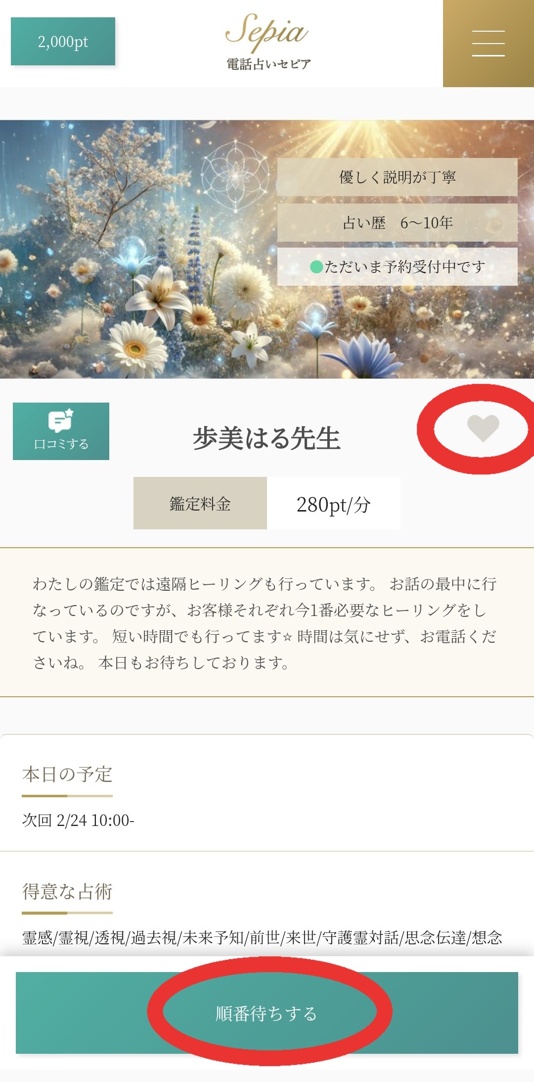 電話占いセピア順番待ち予約1