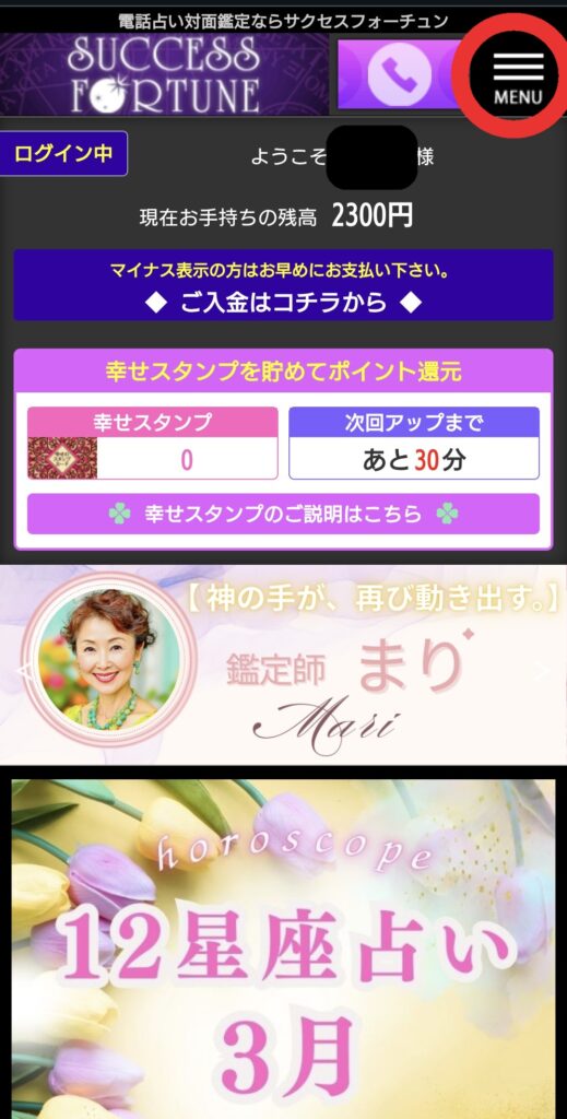 サクセスフォーチュンメニューページへ