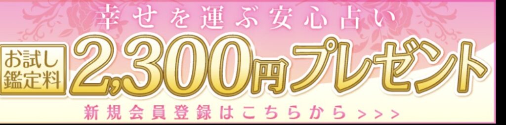 サクセスフォーチュン初回特典