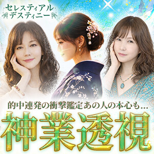 セレスティアルデスティニー